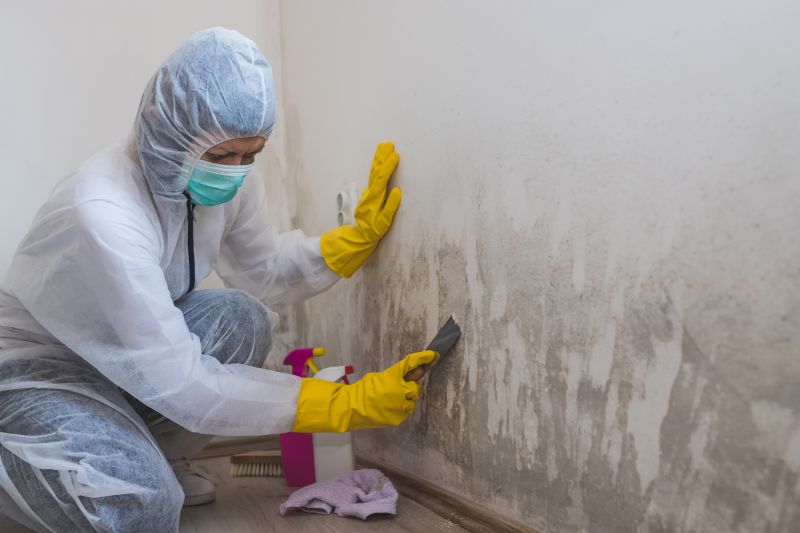 Air Duct Mold Removal in Broward County, FL