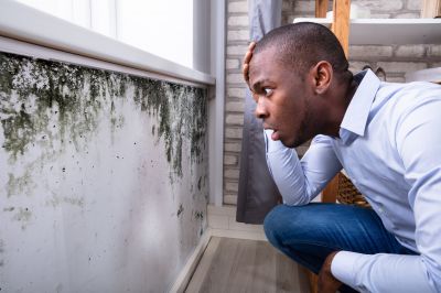 Mold Abatement in Plano, TX