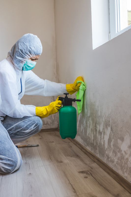 White Mold Mitigation in Jupiter, FL