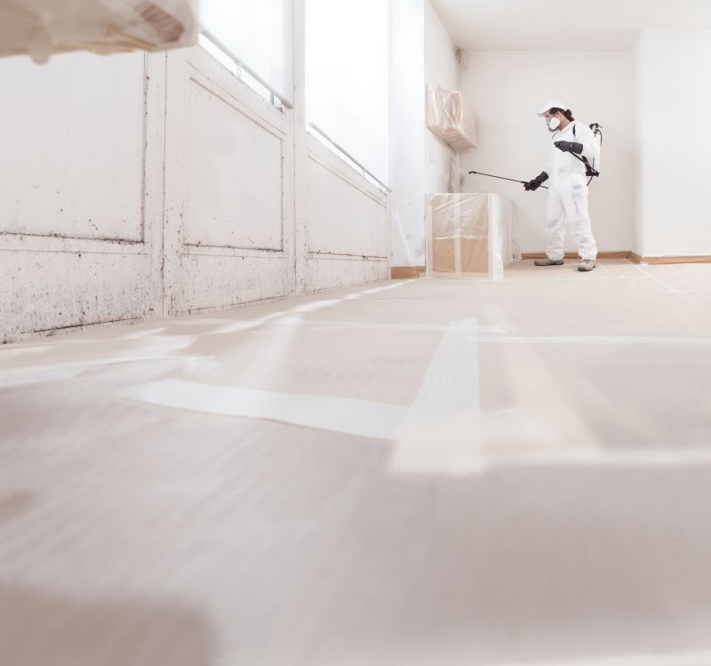Air Duct Mold Removal in Essex County, NJ