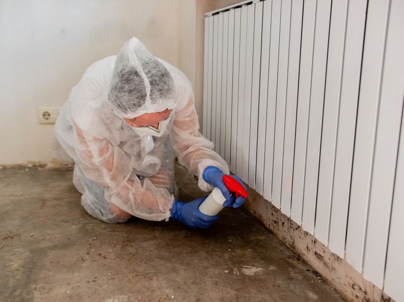 Crawlspace Mold Remediation in Dallas, TX