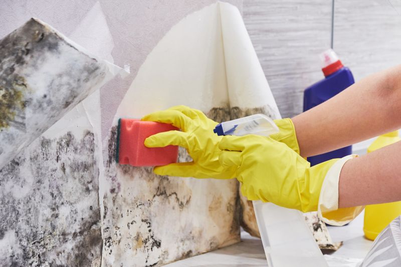 Crawlspace Mold Remediation in Jupiter, FL