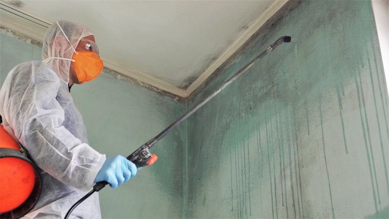 Mold Abatement Service in Frisco, TX